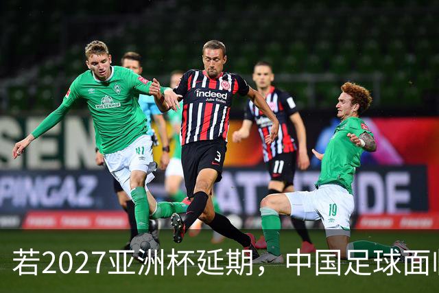 若2027亚洲杯延期，中国足球面临挑战与机遇的博弈